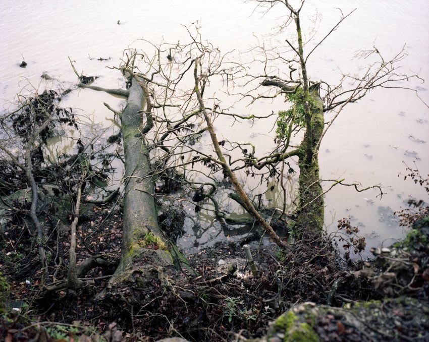 <p>A new series of photographs on the river Plym;&…